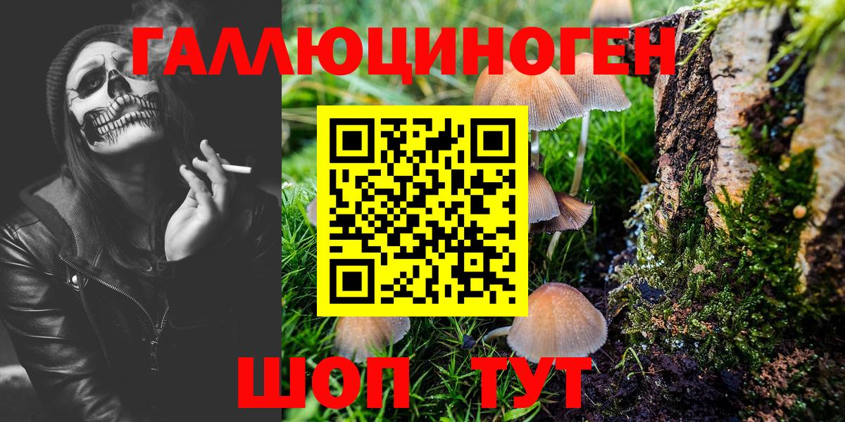 Псилоцибиновые грибы Magic Shrooms Серов