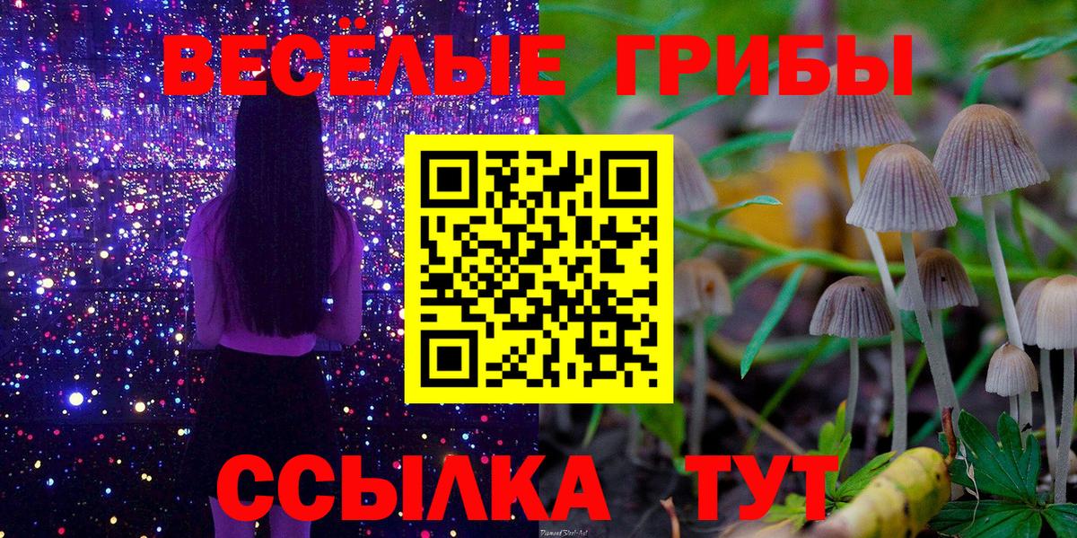 закладки  Вход с VPN  Галлюциногенные грибы ЛСД  Серов  Псилоцибиновые грибы Psilocybine cubensis 